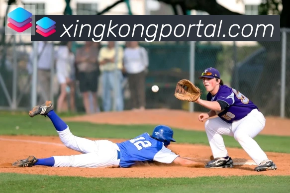 星空体育官网入口APP 封面图