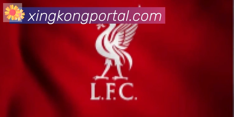 星空体育官网入口合作伙伴