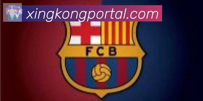 星空体育官网入口合作伙伴